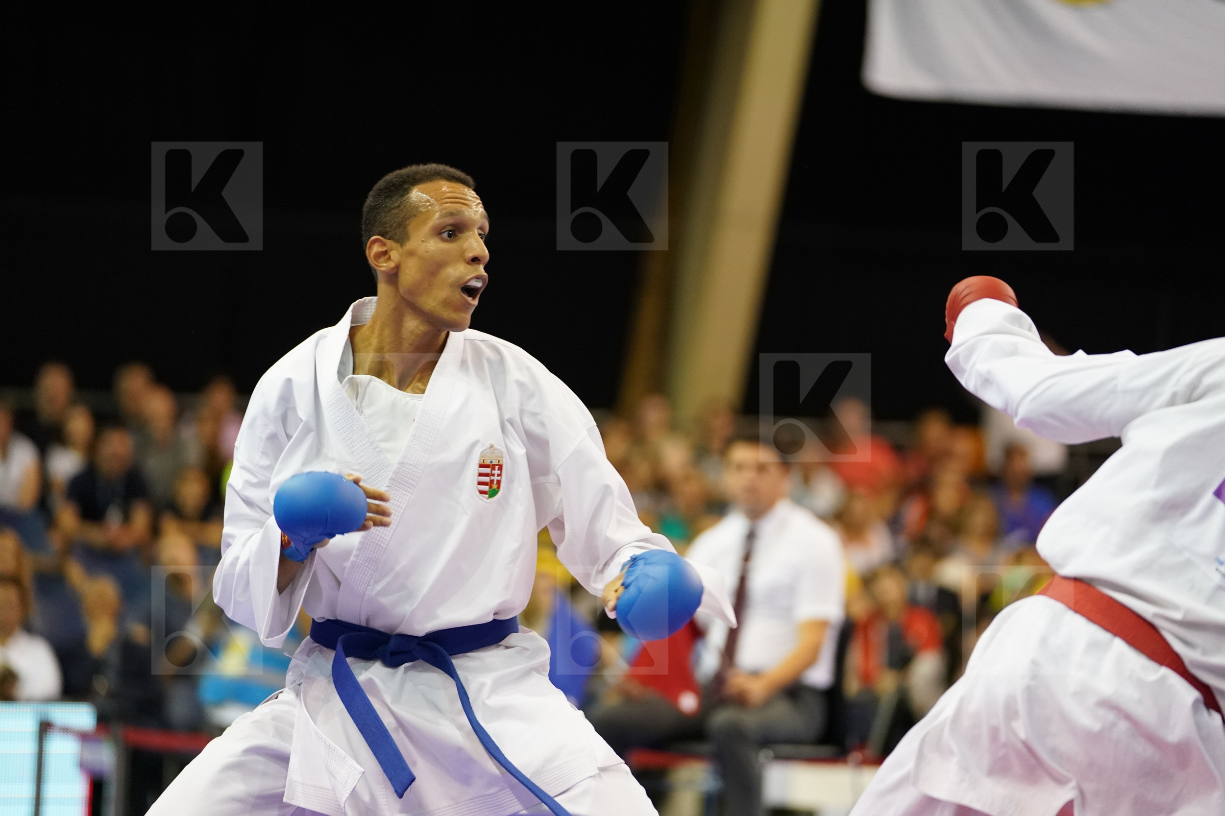 Algeria Benkhaled Abdelatif Hungary Male Kumite -67kg Tadissi Yves Martial